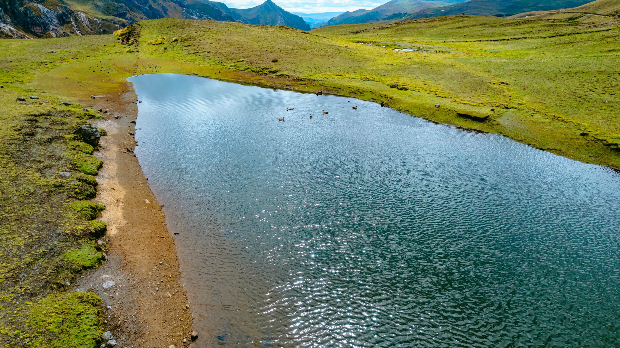 SIEMBRA Y COSECHA DE AGUA DE LLUVIA EN TINQUIQOCHA – RENACIENTE CHANQUIL - CHALANA - PARAS